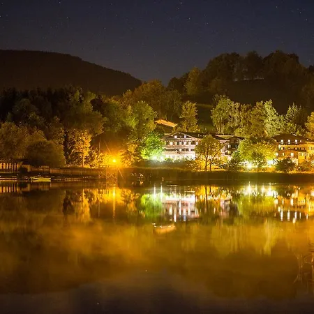 Otel Zur Post Goldegg